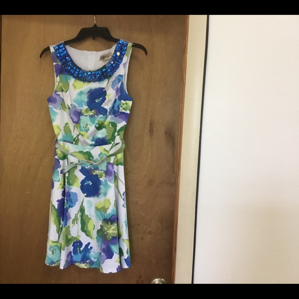 Roulette A-Line belted dress.